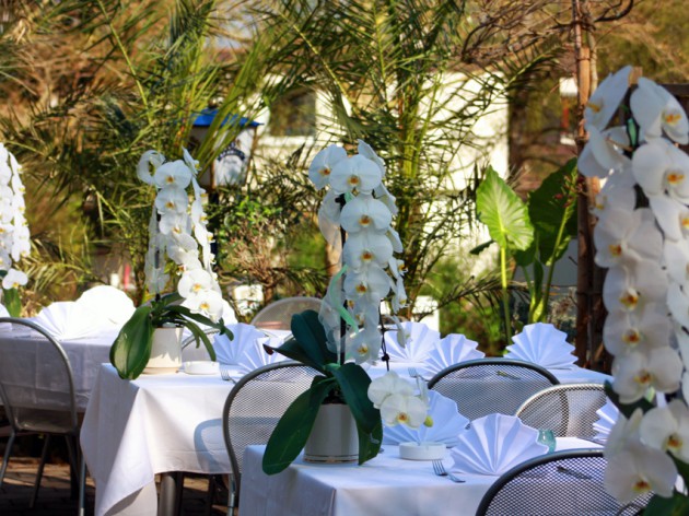 Cafe Restaurant Karlshöhe: Unsere Terrasse