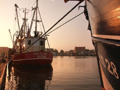 harbor