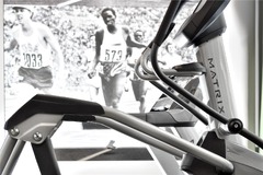 Health club  fitness center  gym