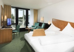 Double room business