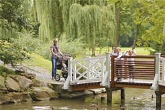 Local attraction