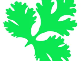 Masala Art in 74076 Heilbronn: