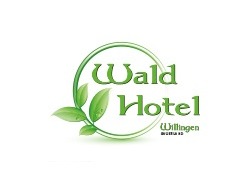 Wald Hotel Willingen