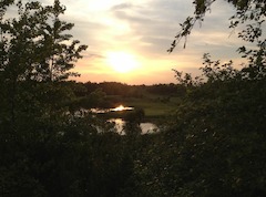 Abendstimmung auf dem Golfplatz