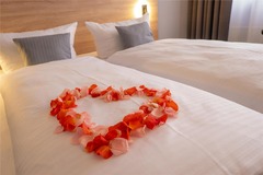 Queen Size single or double use Superior