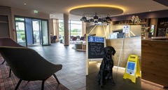 Corona Fina Hotel THE K