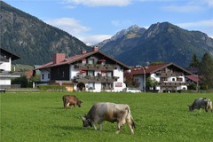 Alpin Studios & SPA