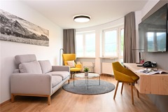 Suite living area