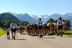 Local attraction
