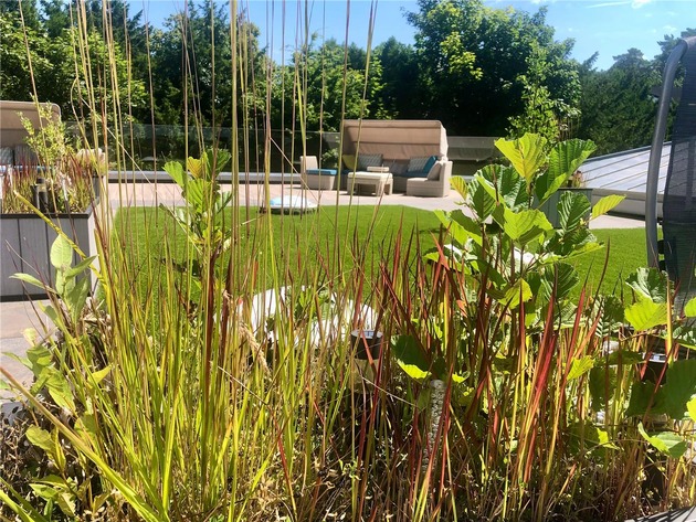 Best Western Plus Ostseehotel Waldschloesschen