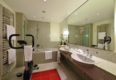 Designer room Aries
