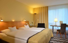 Business Double Room
