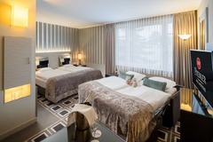 Deluxe Room with extra beds