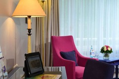 Deluxe Room Living and Working Area