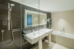 Deluxe Guest Bathroom