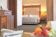 Premium Plus room