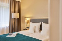 Premium plus room