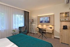 Premium plus room