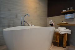 Guest room bath