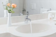 Guest room bath