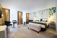 Premium Park Room