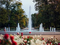 Local attraction