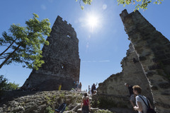Drachenfelsburg