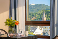 Junior Suite mit Blick auf Siebengebirge