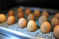 good-mood-eggs