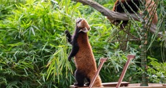 Saarbrücker Zoo