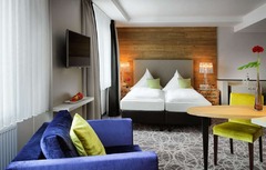 Business double room, queen-size bed, wheelchair accessible A+D