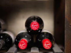 Walk-in wine cellar