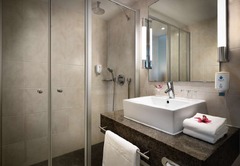bathroom Business double room