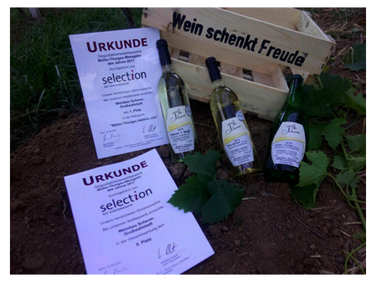 Weinbau Scherer