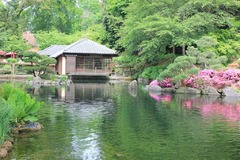 Local attraction
