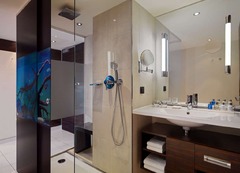 Guest Room bathroom