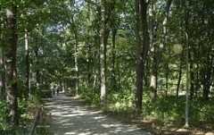 Berlin Tiergarten