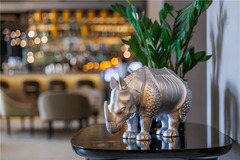 Park Plaza Details Rhino