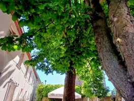Zum Schlößla, griechische Spezialitäten in 91080 Uttenreuth:
