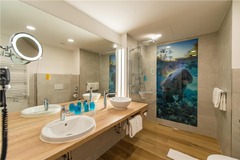 Guest room bath