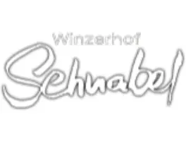 Winzerhof Schnabel in 55599 Gau-Bickelheim: