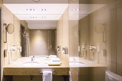 Premium Room bathroom