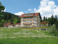 Ailwaldhof Parkhotel & Spa, 72270 Baiersbronn