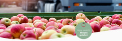 Foodservice Abels Früchte Welt liefert ihnen täglich frisches Obst und Gemüse in Bonn.

Als Spezialist im Großhandel für Obst und Gemüse beliefern wir seit über 60 Jahren - auch überregional den Lebensmittelgroßhandel und Einzelhandel, die Hotellerie, Gas