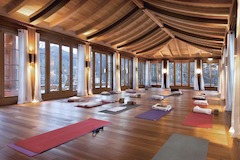 Yoga Retreats