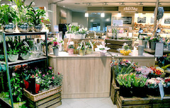 Non-Food & Blumenabteilung/Floristik
Unser Markt besitzt auch eine eigene Tchibo Abteilung. Hier finden Sie eine große Auswahl an Kaffees und auch viele Non-Food Artikel aus der Produktvielfalt von Tchibo.

Unsere Floristik-Abteilung betreuen wir selbst u