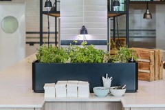 Breakfast Restaurant