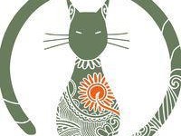 Katzentempel Erlangen