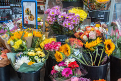 Blumen
Ob Sie Ihre Frau oder Ihren Mann überraschen wollen, Freunde und Bekannte beschenken oder sich selbst eine Freude bereiten möchten, ob Topfblume oder schöner Strauß – viele unserer Blütenträume beziehen wir von regionalen Partnern. Blumen – und der