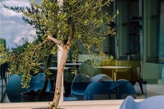 Breakfast Area & Rooftop terrace